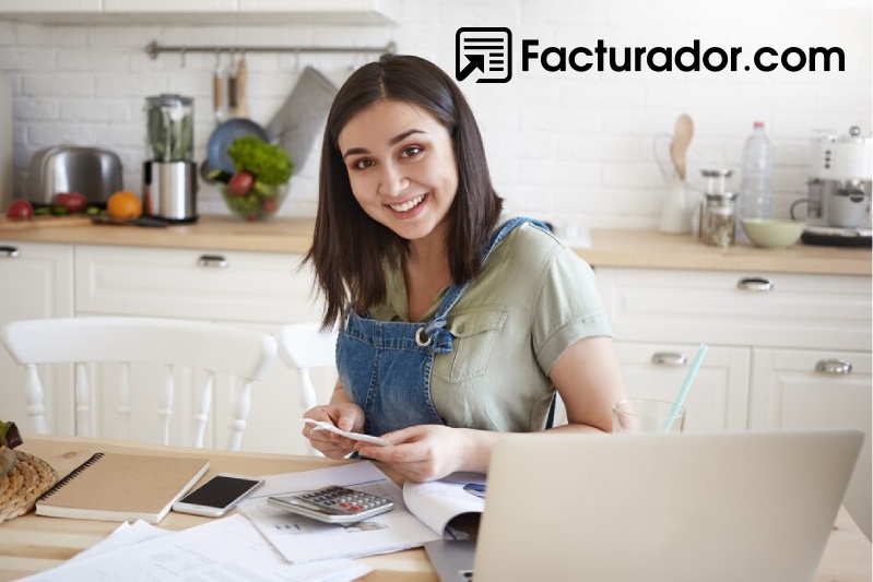 Inicio en la vida laboral y SAT