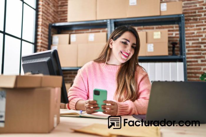Guía para emprendedores: lo que debes saber sobre el SAT