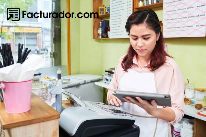 ¿Cómo se realiza la facturación electrónica en microempresas?